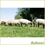 Agrimarkt - No. 200065693
