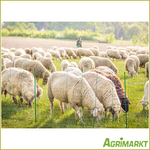 Agrimarkt - No. 200070956
